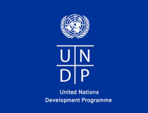 UNDP Teams Up with PR Experts to Fight Climate Crisis